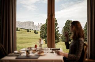 Hotel Steger Dellai Alpe di Siusi