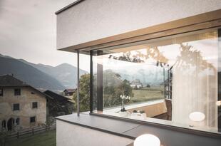 Wolf Fenster