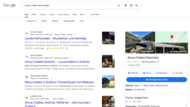 Immagine di una ricerca Google per Amus Chalets con i risultati di ricerca.