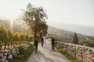 BikeHotels Alto Adige