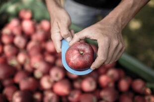 VOG Home of Apples