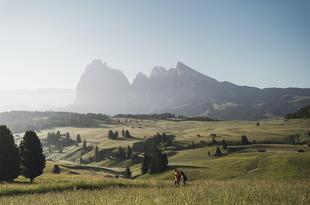 Dolomitenregion Seiser Alm